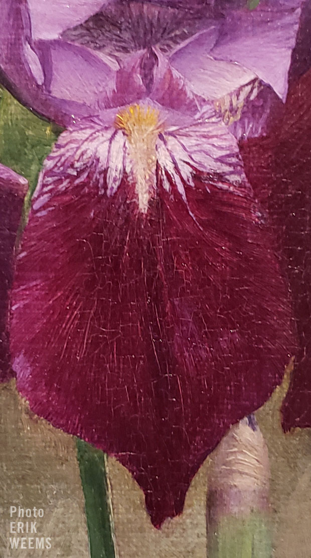 Iris Painting