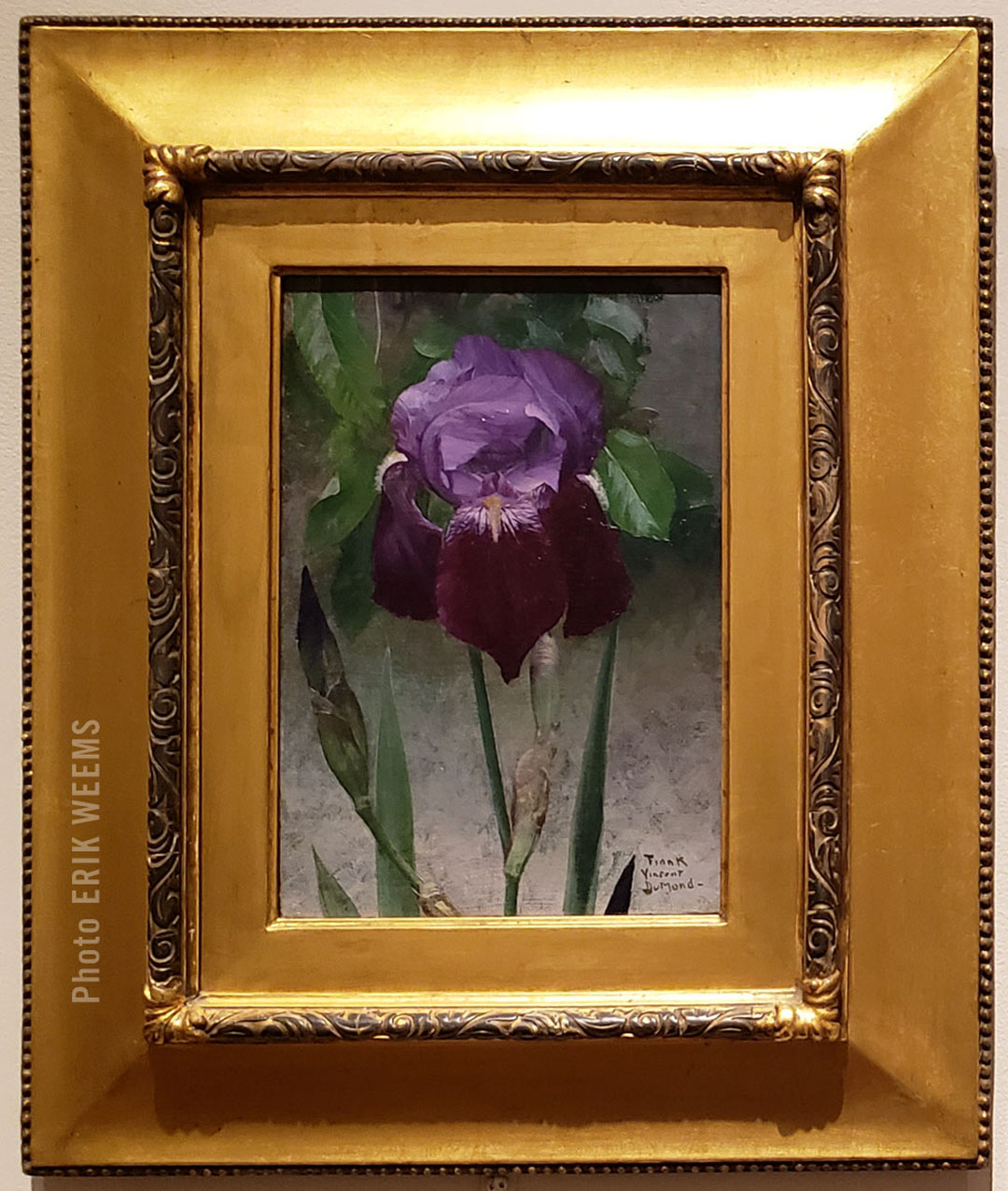 Detail - Iris painted by Frank Vincent Dumond