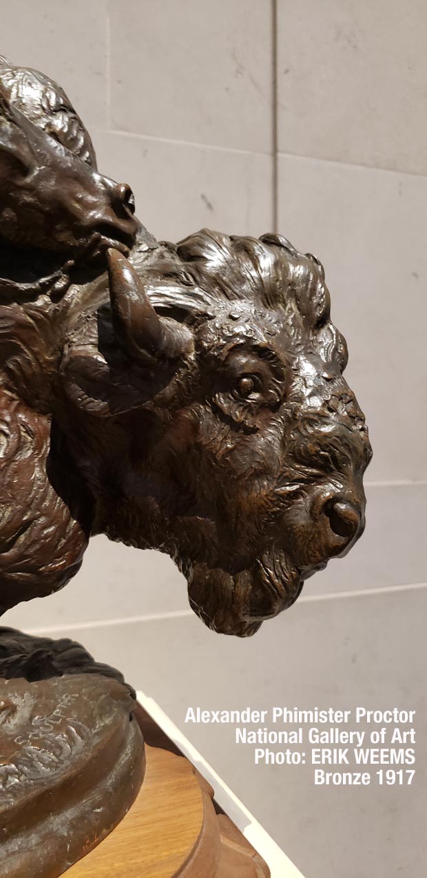 Buffalo Head detail closeup Buffalo Head detail closeup
